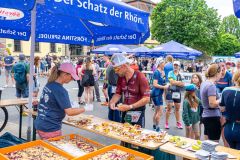 Barockstadt Fulda Triathlon